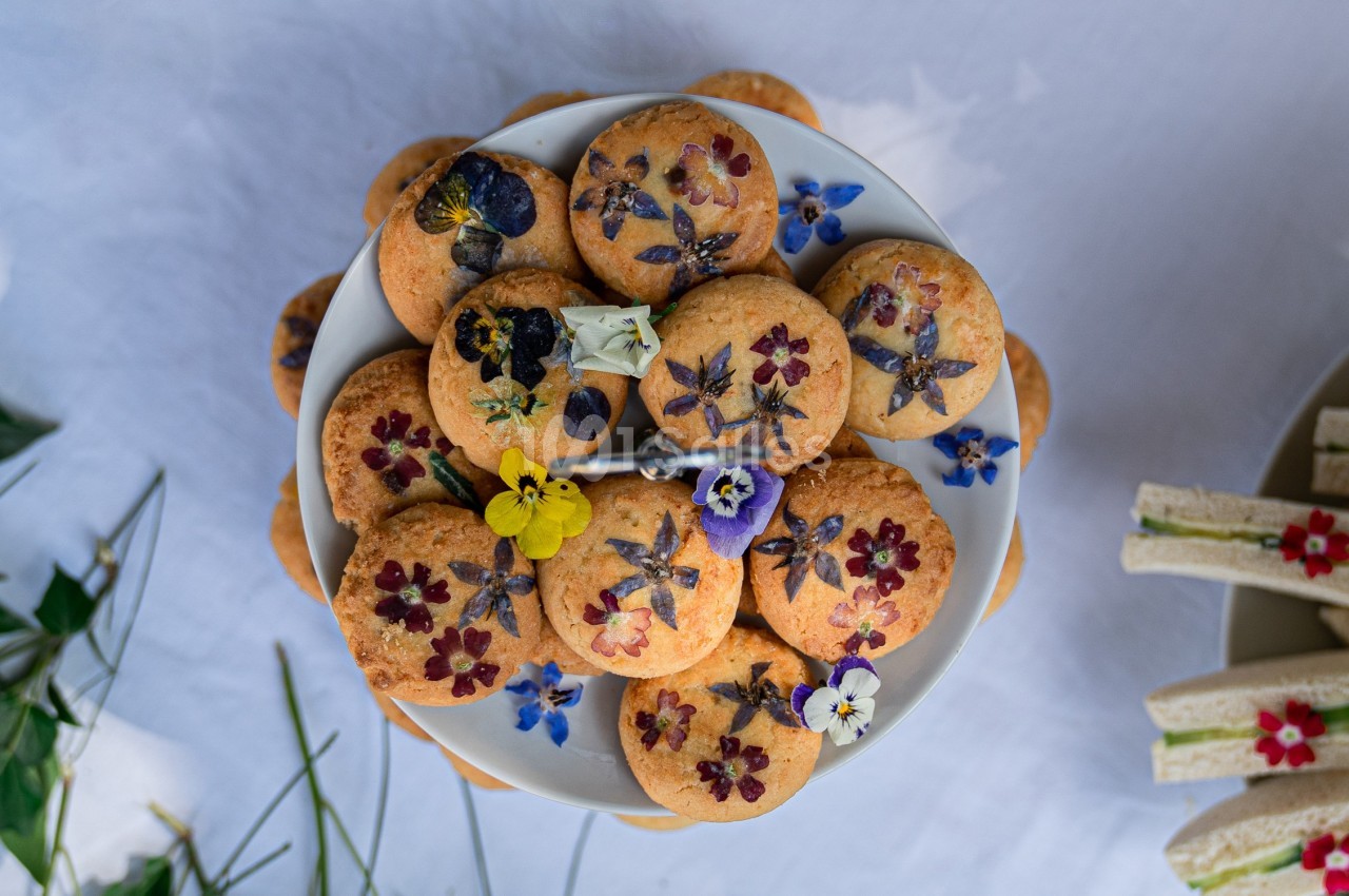 Chez Graze - galerie - photo 36