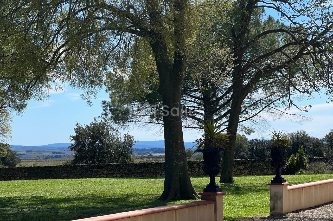 Chateau Petit Beret - galerie - photo 12