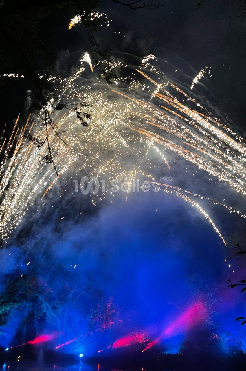 Feu d'artifice illuminant le ciel nocturne avec des éclats lumineux et des projecteurs colorés au sol.