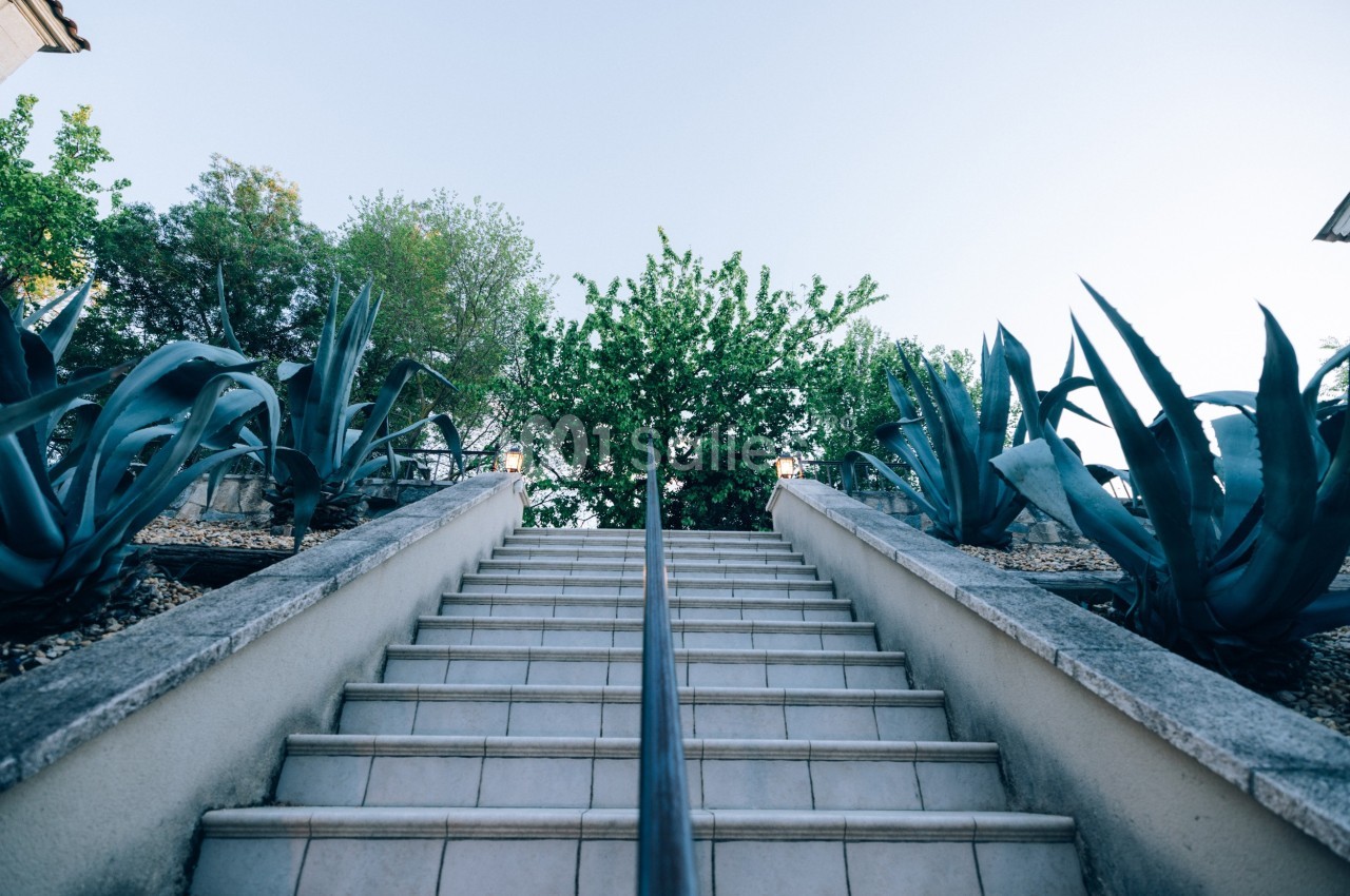 Escalier extérieur en pierre bordé de plantes succulentes et d'arbustes sous un ciel dégagé.