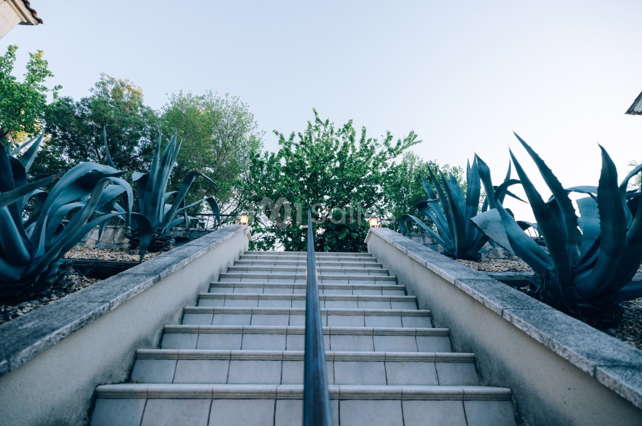 Escalier extérieur en pierre bordé de plantes succulentes et d'arbustes sous un ciel dégagé.