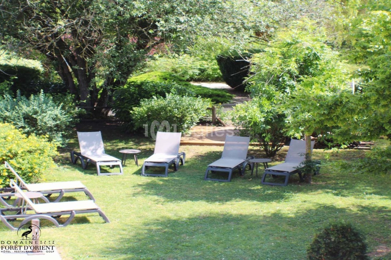 Chaises longues disposées sur une pelouse entourée de végétation luxuriante dans un jardin ensoleillé.
