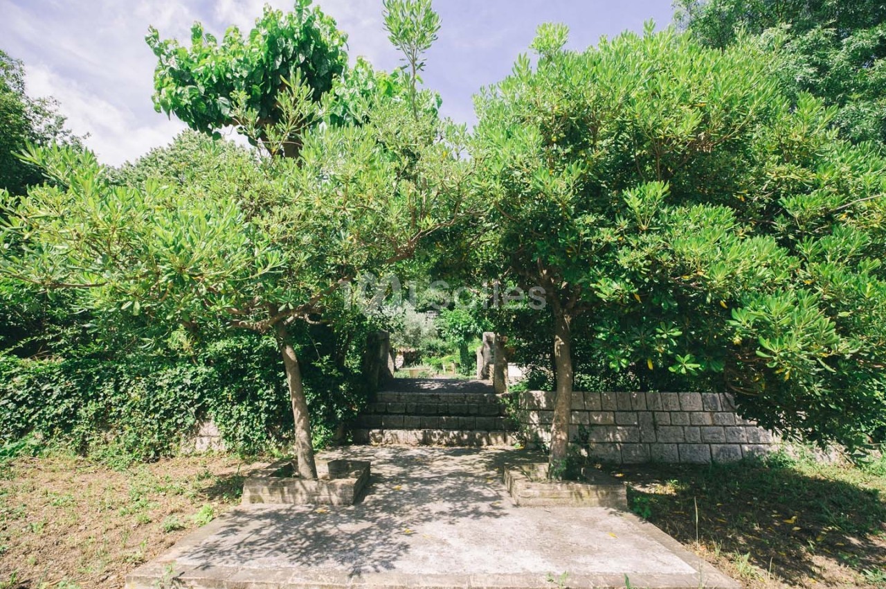 Allée bordée de deux arbres taillés, menant à un escalier en pierre entouré de végétation dense.