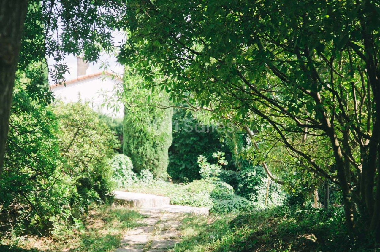 Chemin en pierre bordé de végétation dense menant à une maison blanche partiellement visible à travers les arbres.