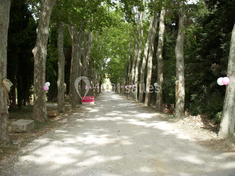Château Pech-Celeyran - galerie - photo 15
