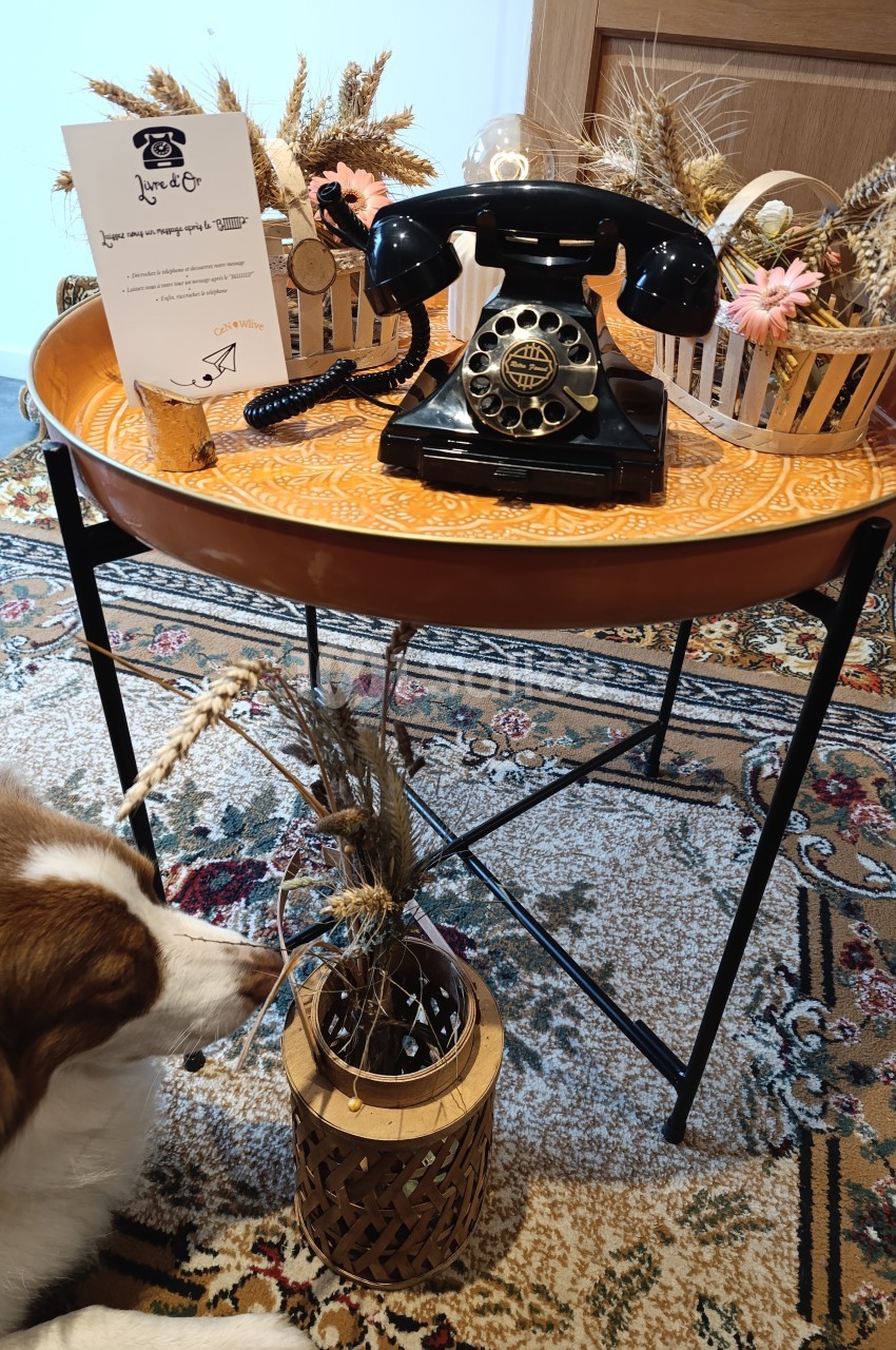 Un téléphone vintage noir posé sur une table ronde orange, entouré de décorations en fleurs séchées.