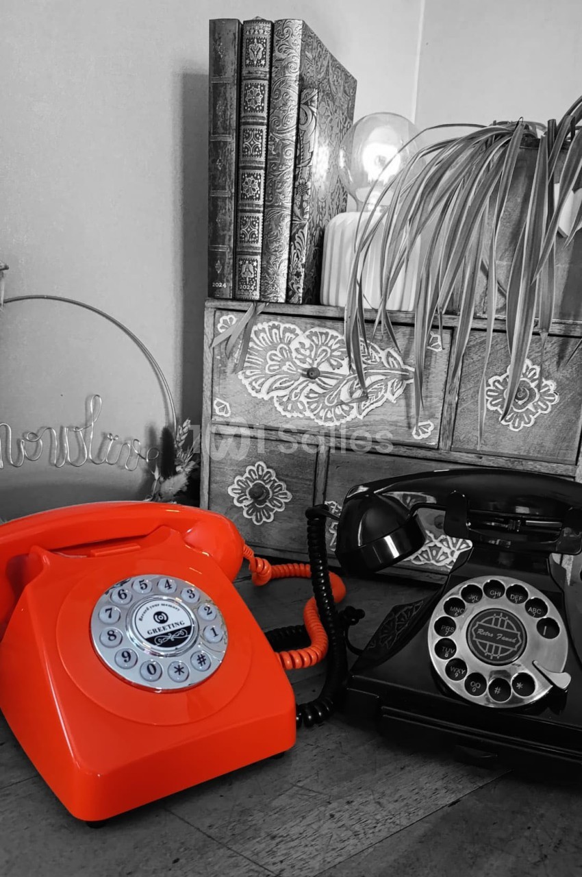 Deux téléphones rétro, l'un rouge et l'autre noir, posés sur un meuble décoré avec des livres et une plante.