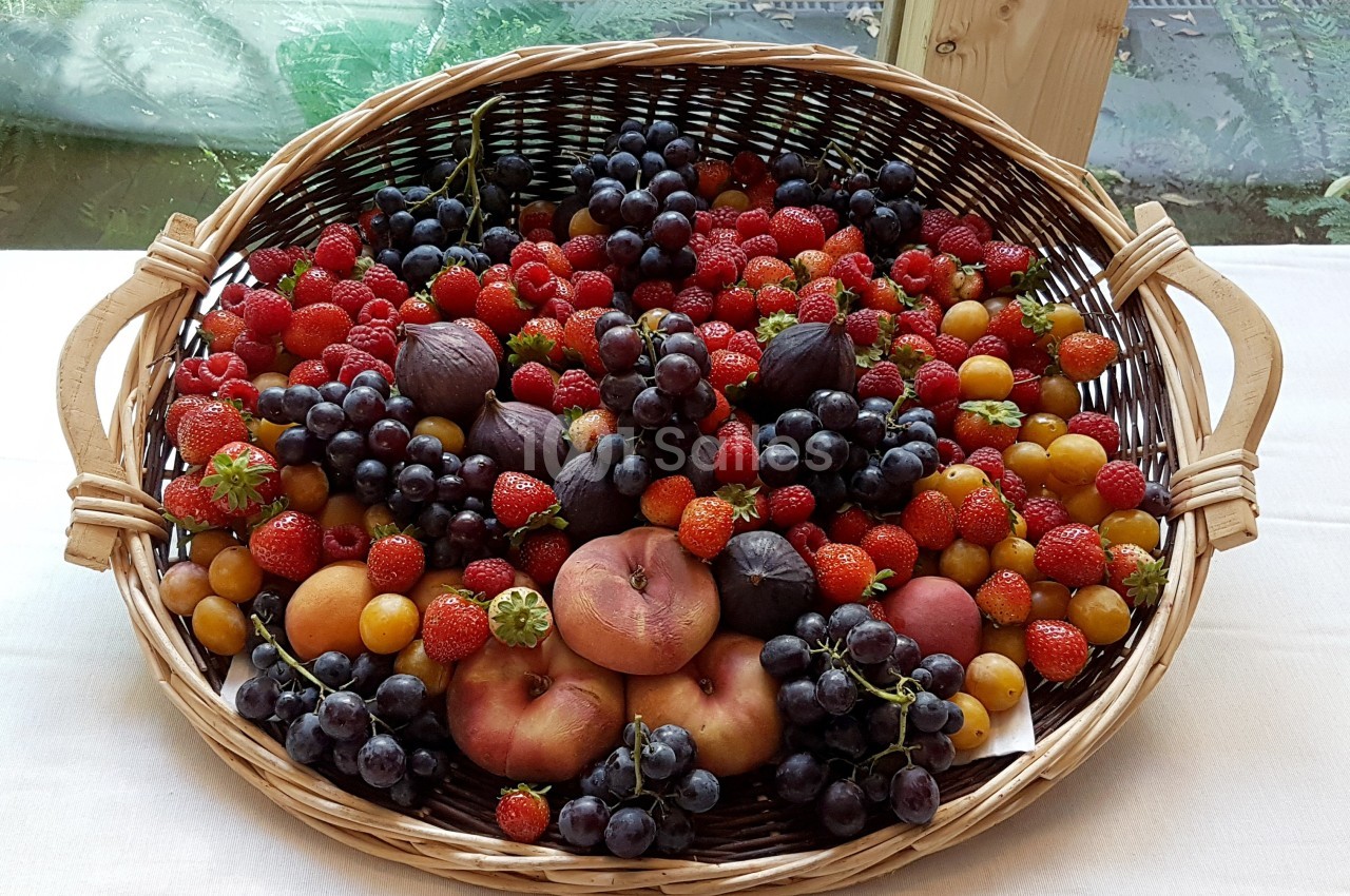Panier en osier rempli de fruits variés, dont raisins, figues, pêches, fraises et prunes, posé sur une nappe blanche.