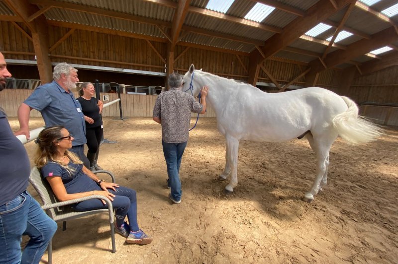 Du Cheval à L'homme - photo 1