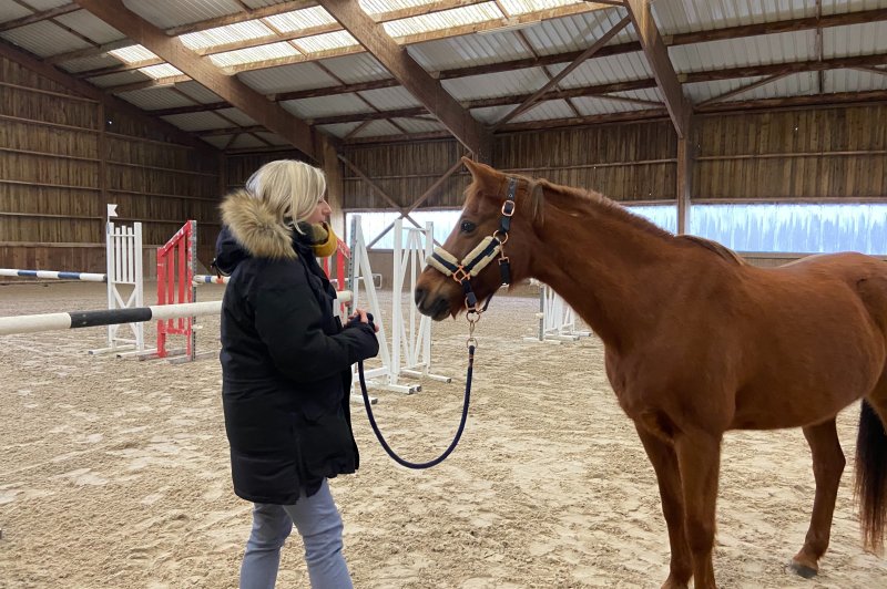 Du Cheval à L'homme - photo 3