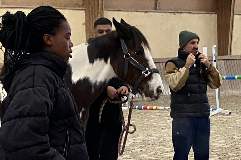 Du Cheval à L'homme - photo 4