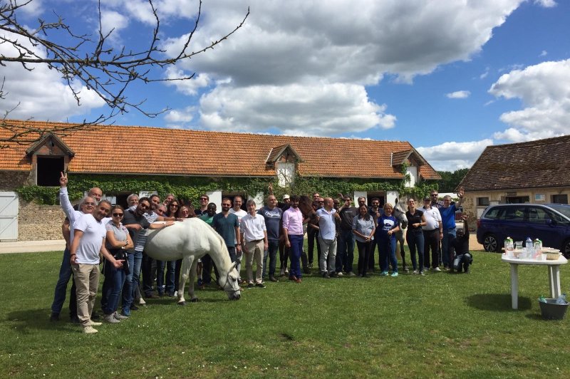 Du Cheval à L'homme - photo 5