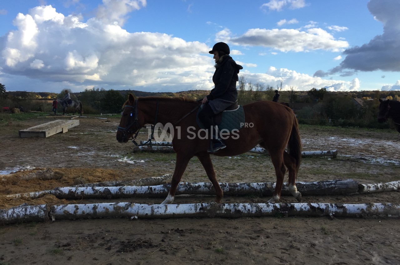 Une personne monte un cheval brun traversant des troncs d'arbres dans un paysage extérieur sous un ciel nuageux.