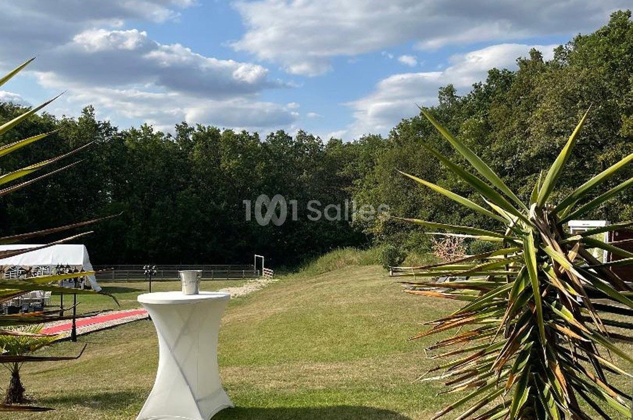 Table haute blanche sur une pelouse entourée de palmiers, avec forêt en arrière-plan et ciel partiellement nuageux.