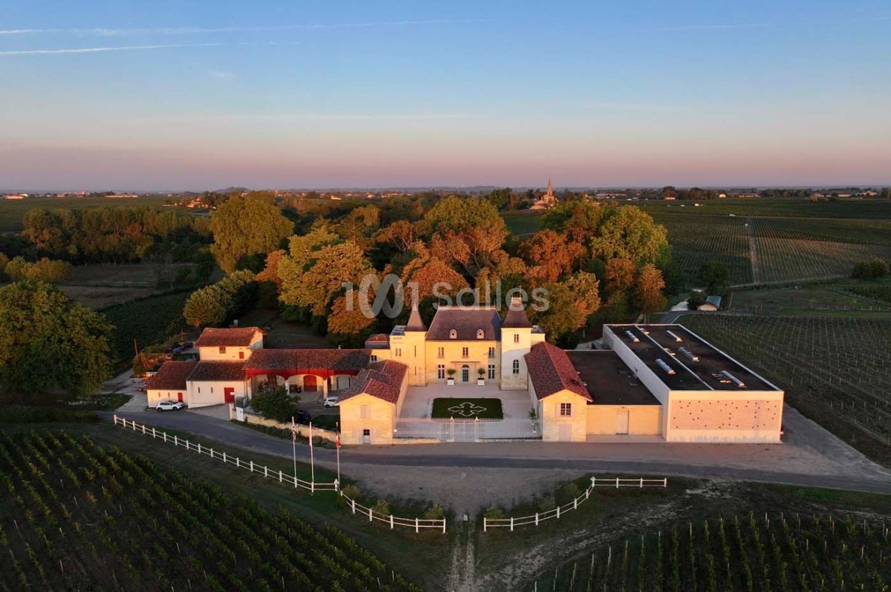 Vue aérienne d'un domaine viticole avec un château entouré de vignes et d'arbres au coucher du soleil.