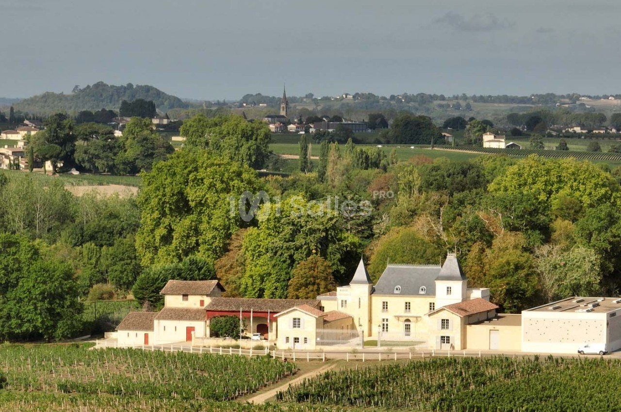 Vue d'un domaine viticole avec bâtiments traditionnels entourés de vignes et paysage rural en arrière-plan.