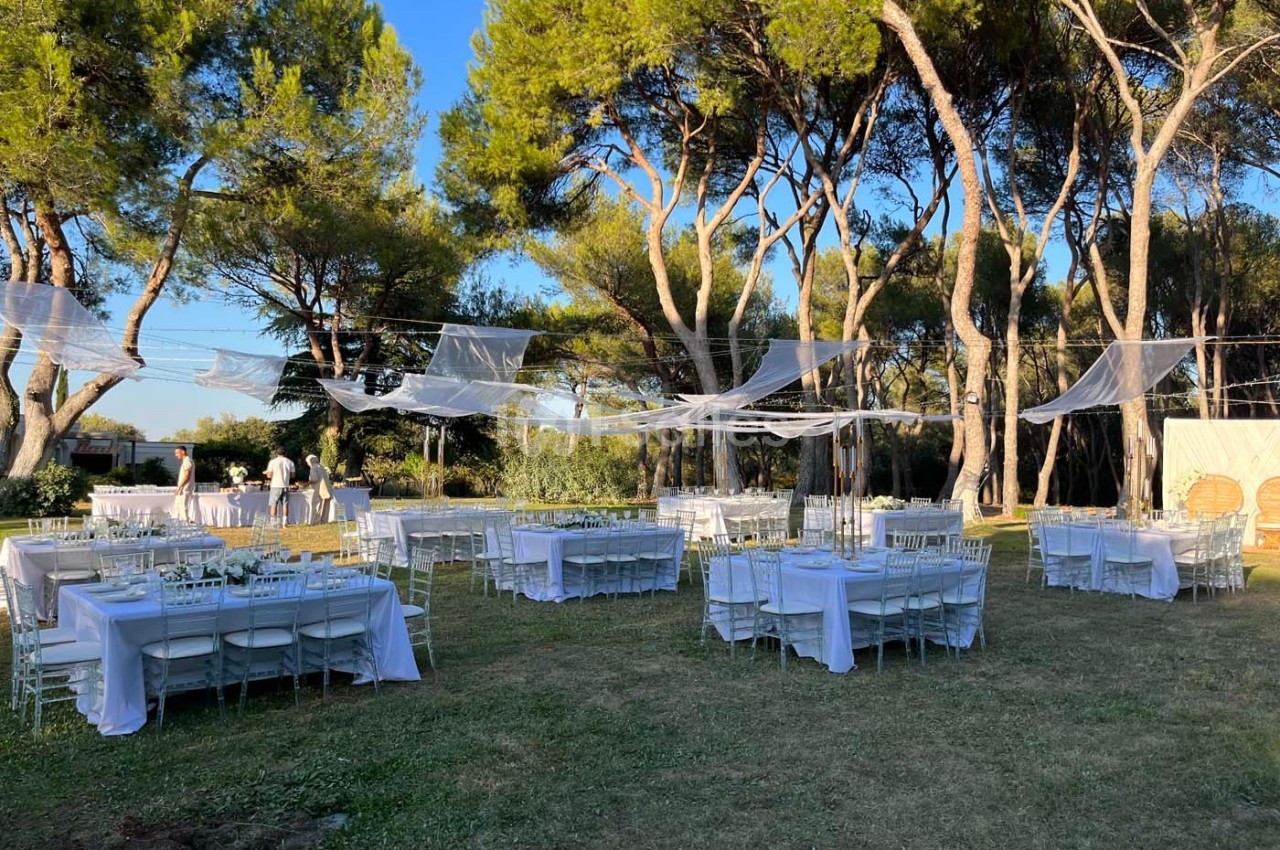 Tables et chaises blanches disposées en extérieur sous des arbres, décorées pour un événement ou une réception.