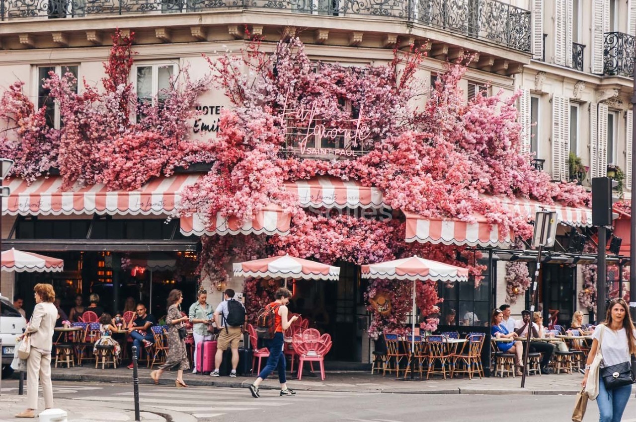 Façade d'un café parisien décorée de fleurs roses, avec des clients assis en terrasse sous des parasols rayés.