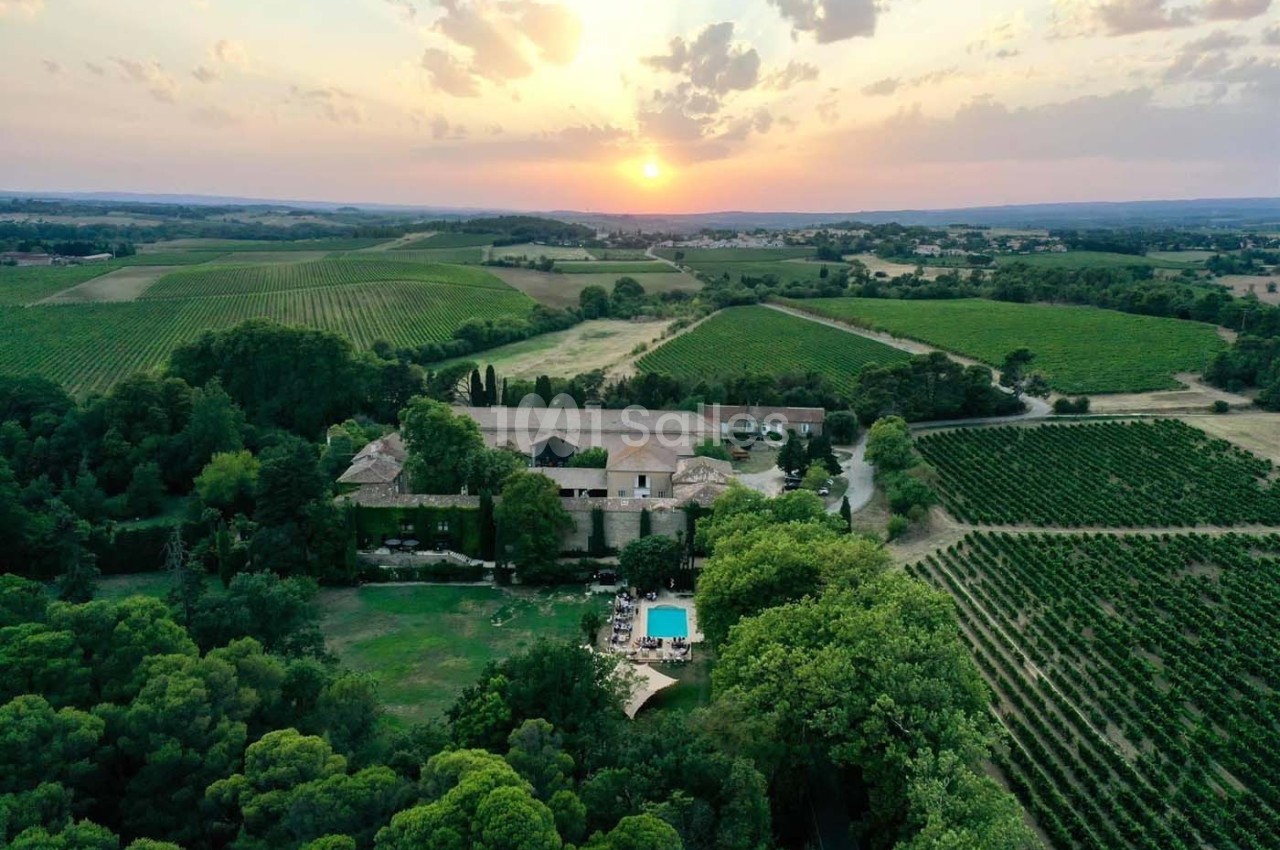 Domaine de Rivals - galerie - photo 1