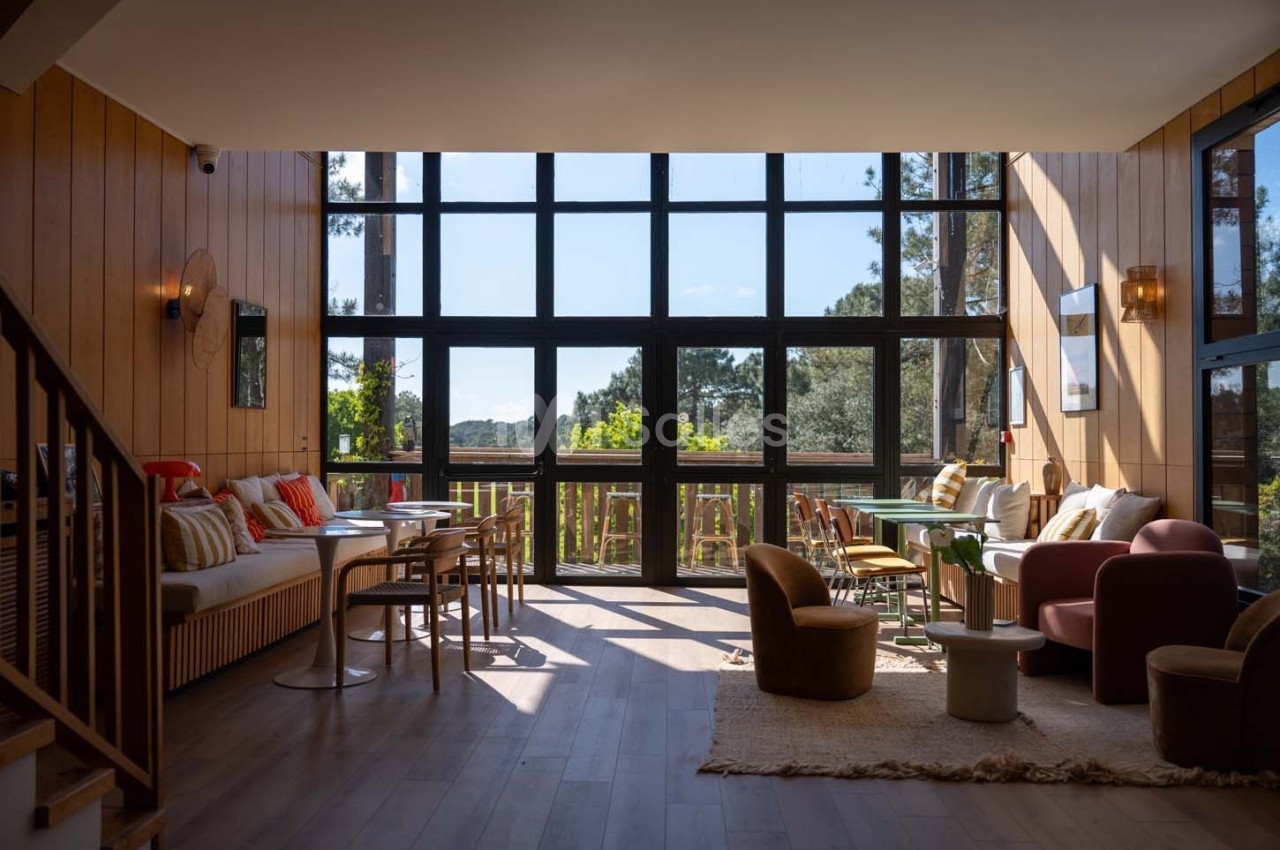 Salon lumineux avec de grandes baies vitrées, mobilier moderne et vue sur un paysage arboré.