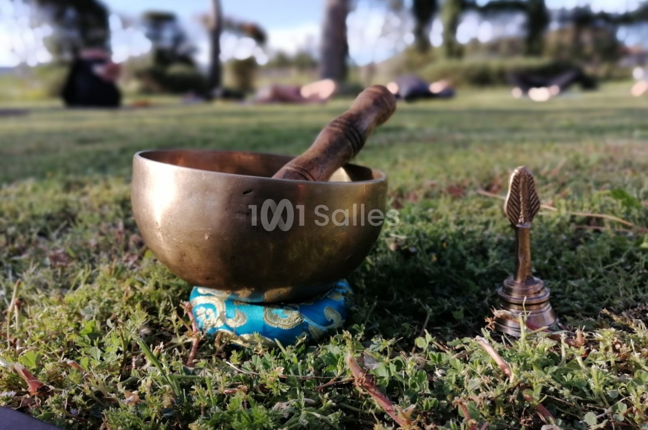 Le Mas de la Lise - galerie - photo 18