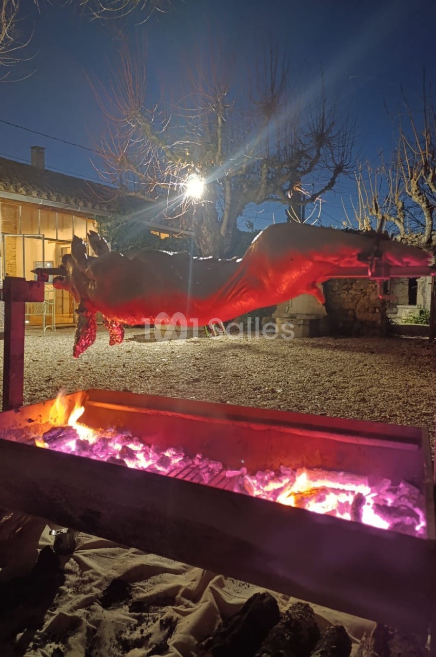 Le Mas de la Lise - galerie - photo 32