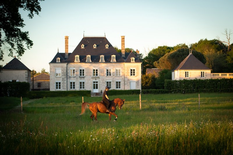 Domaine de la Briouse - photo 4