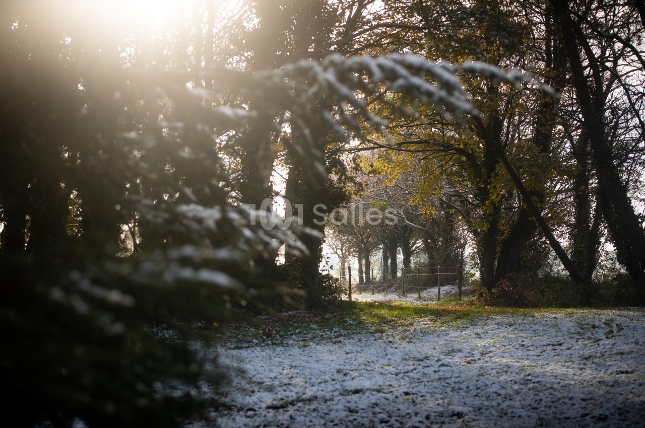 Chemin forestier éclairé par le soleil, bordé d'arbres et recouvert de légères traces de neige.