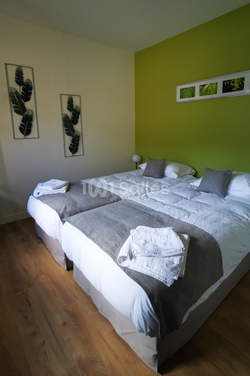 Deux lits simples avec draps blancs et couvertures grises, dans une chambre au mur vert décorée de cadres et plantes.