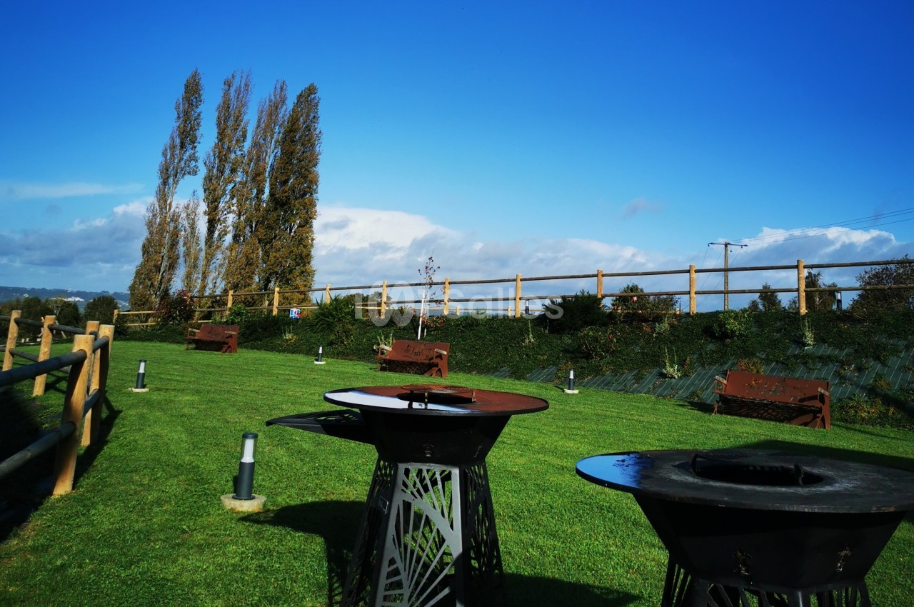 Barbecues métalliques sur une pelouse verte avec des bancs en bois, entourés d'arbres et d'une clôture en bois.