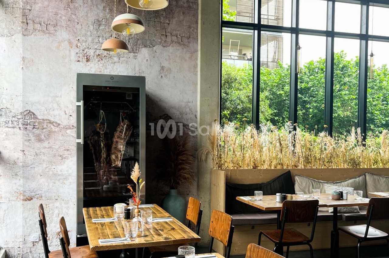 Sapiens - galerie - photo 8