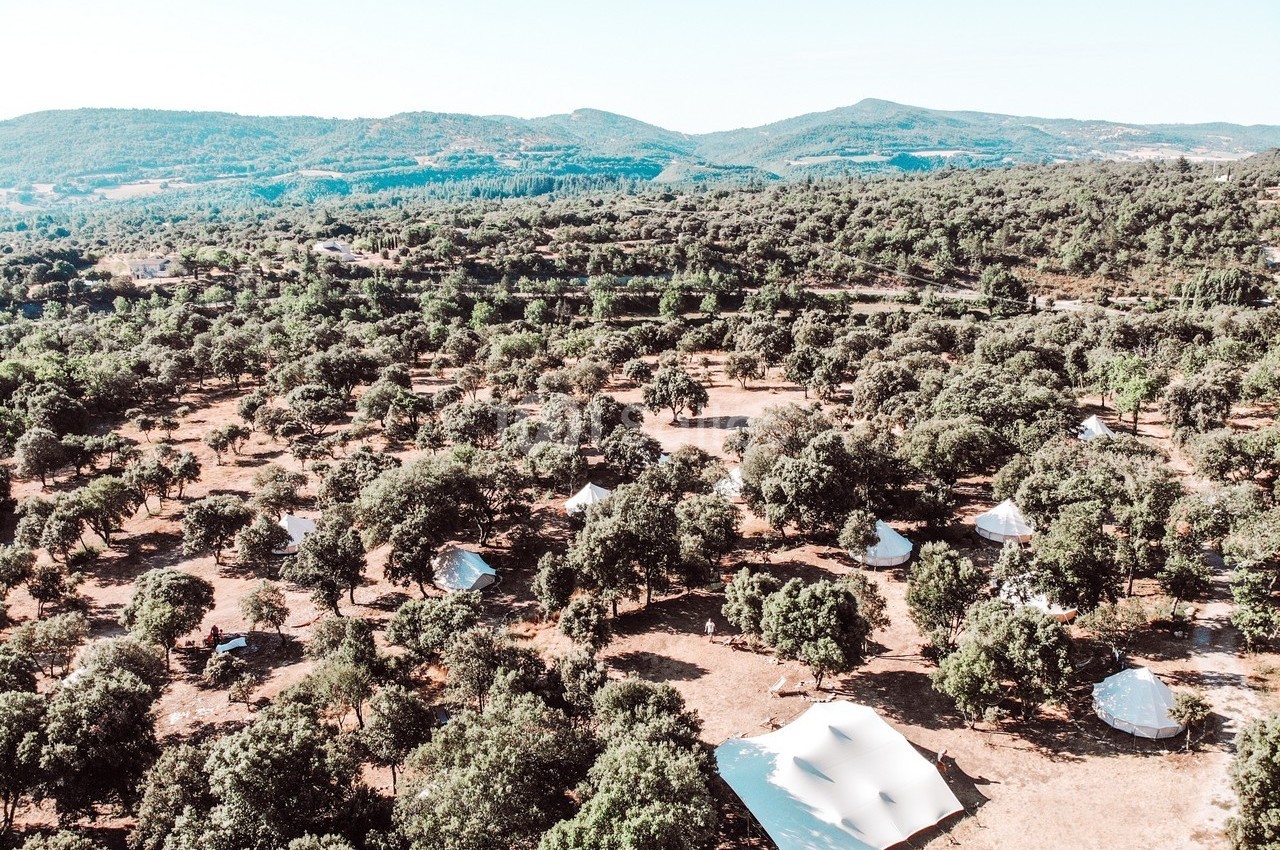 Vue aérienne d'un paysage boisé parsemé de tentes blanches, entouré de collines verdoyantes sous un ciel dégagé.