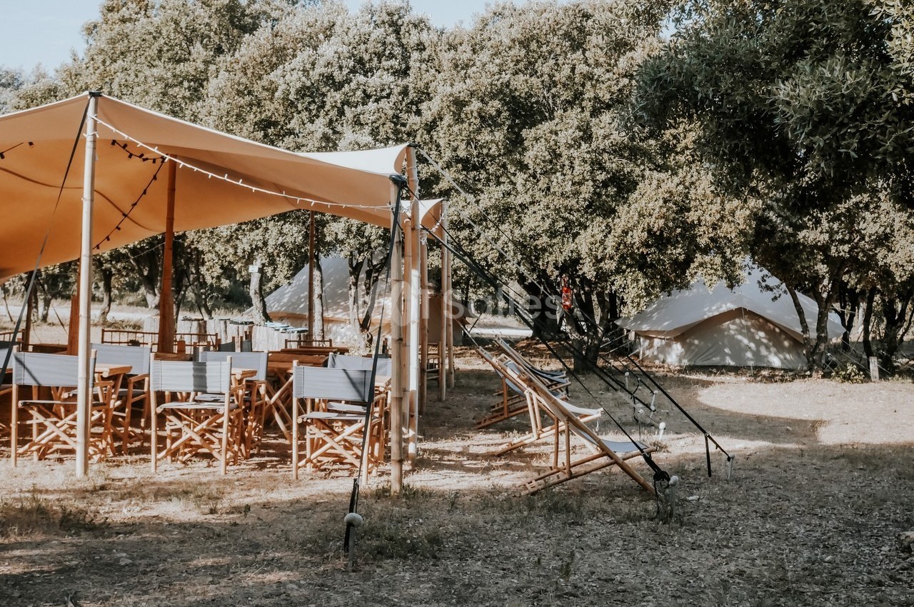 Tente beige avec tables et chaises en bois, entourée d'arbres, dans un cadre naturel et ombragé.