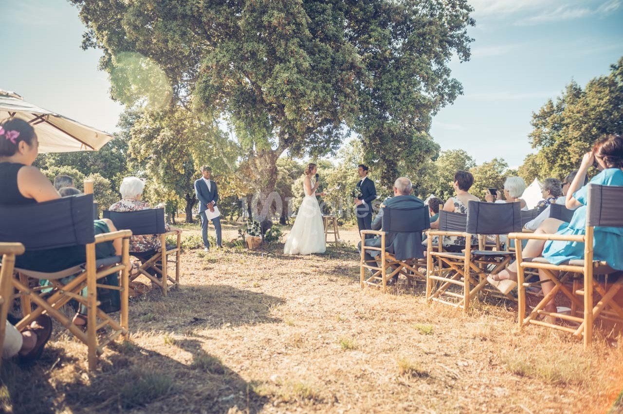 Cérémonie de mariage en plein air sous un grand arbre, avec des invités assis et les mariés debout face à l'officiant.