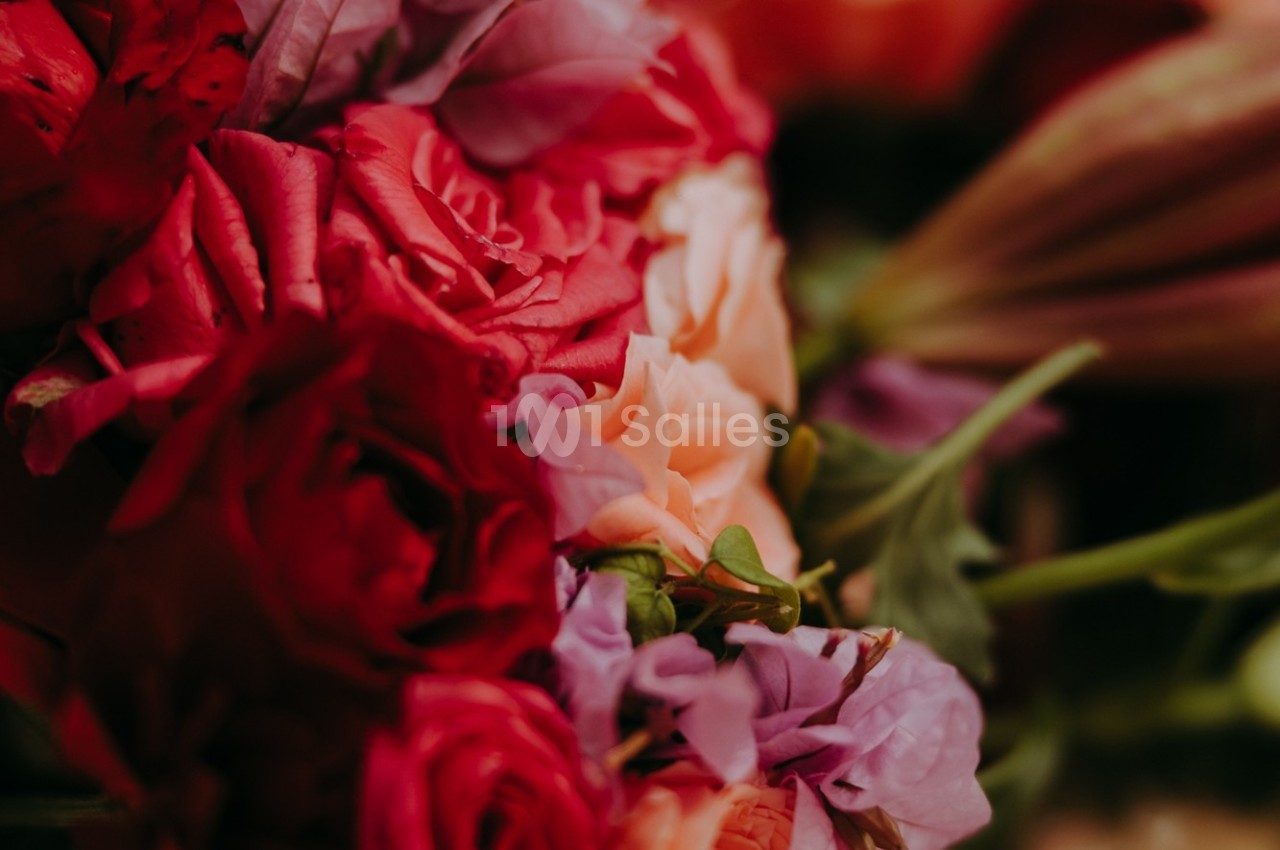 Domaine Ard Wa Samaa - galerie - photo 28