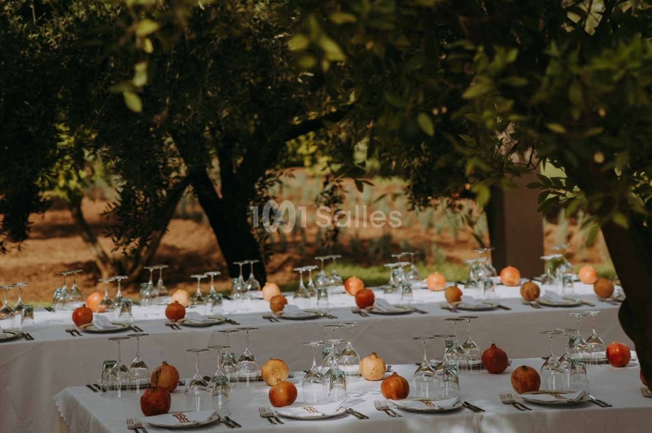Domaine Ard Wa Samaa - galerie - photo 10