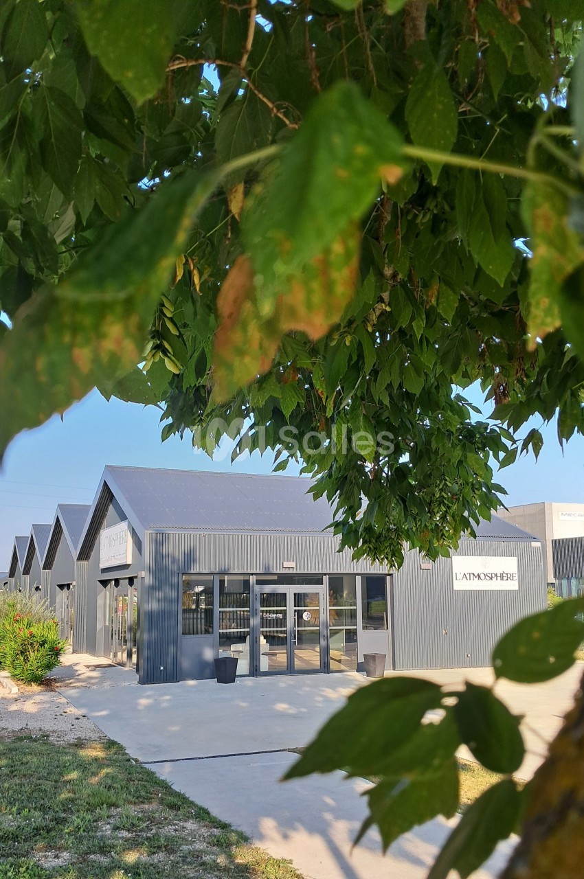 Bâtiment moderne en métal gris avec des grandes baies vitrées, partiellement caché par des feuilles d'arbre au premier plan.