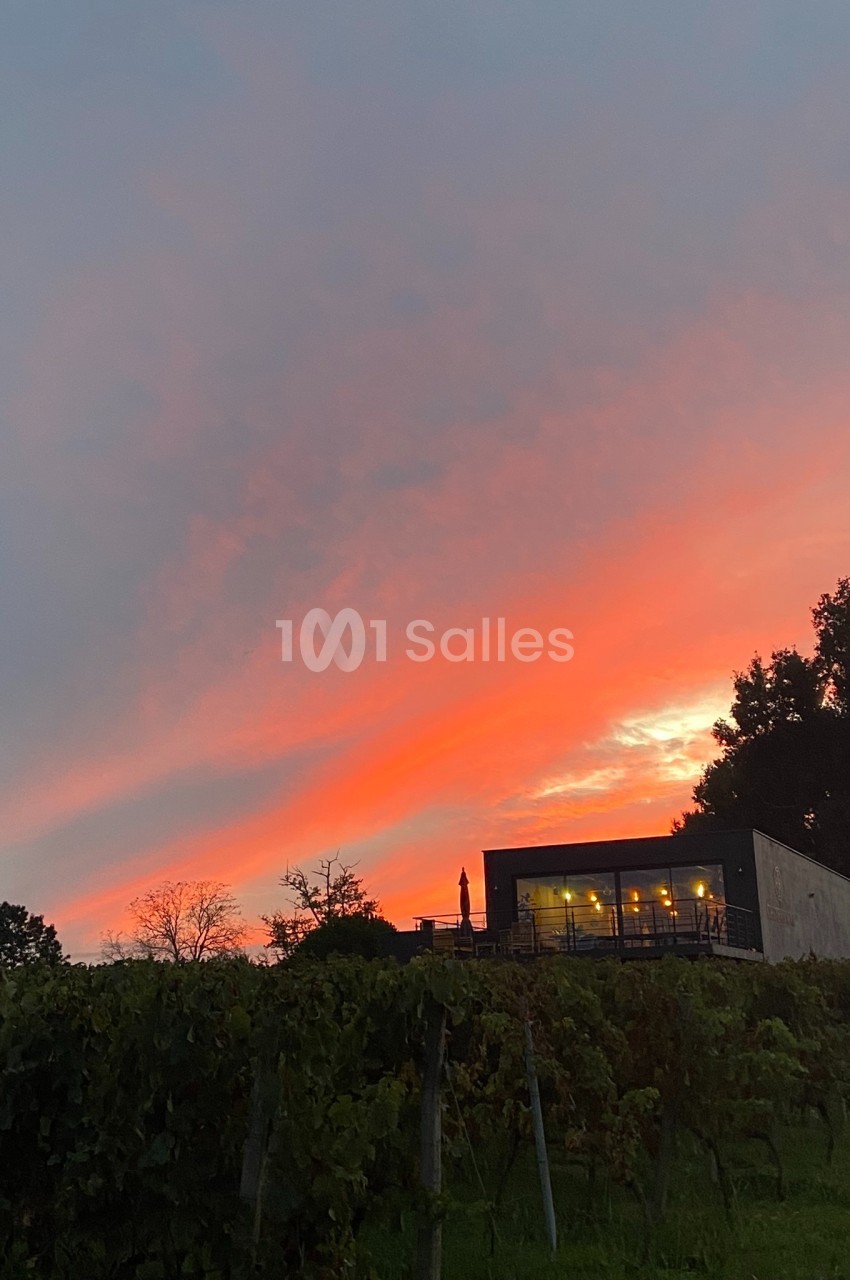 Ciel aux teintes orangées et roses au coucher du soleil, avec un bâtiment moderne entouré de vignes au premier plan.