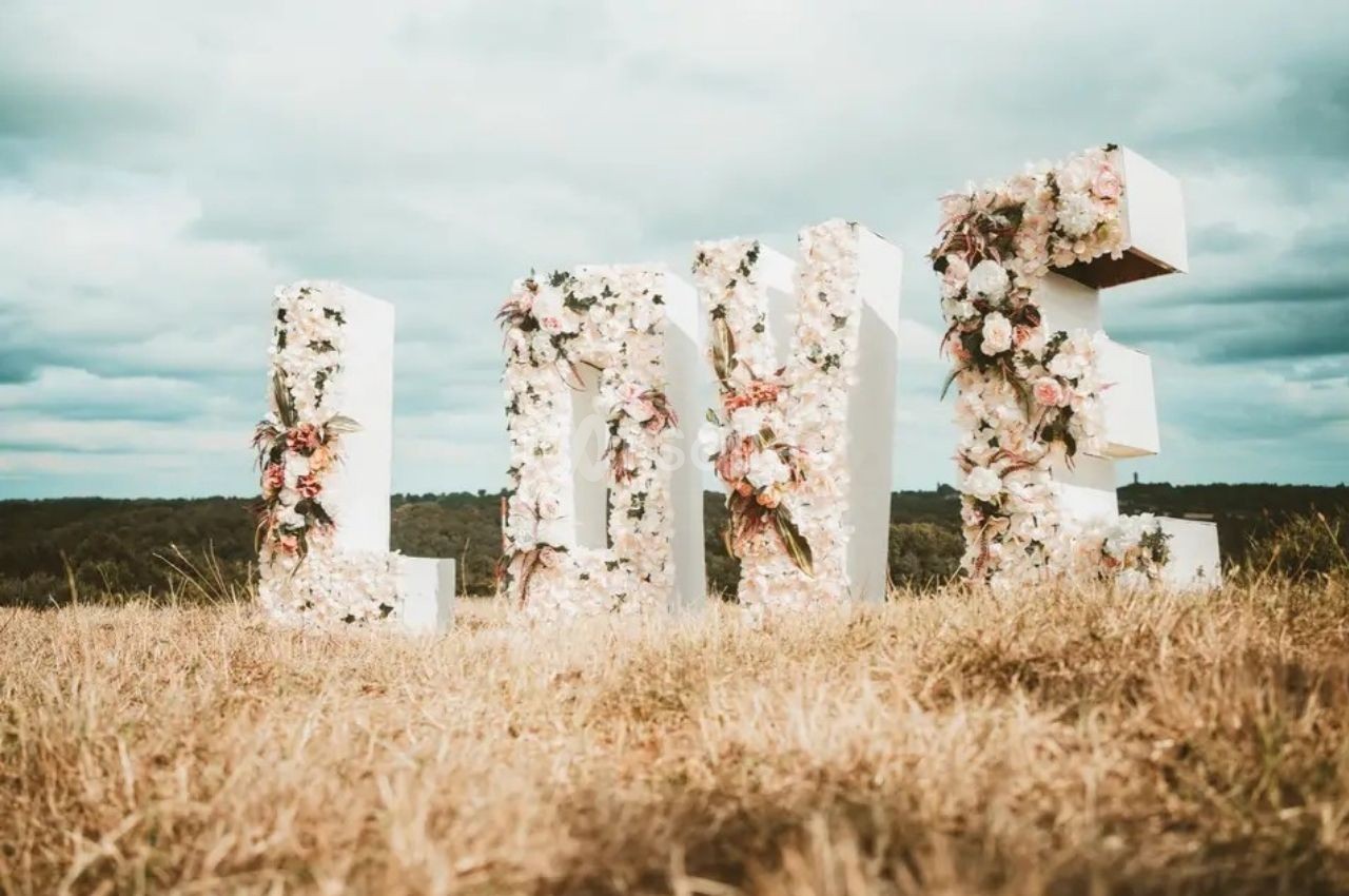 Lettres géantes formant le mot ’LOVE’, décorées de fleurs, placées dans un champ sous un ciel nuageux.