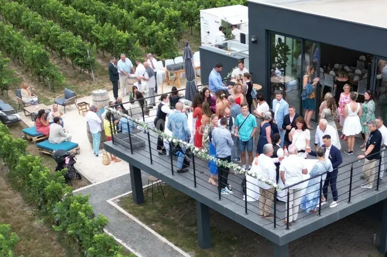 Groupe de personnes réunies sur une terrasse moderne surplombant un vignoble, lors d'un événement en plein air.