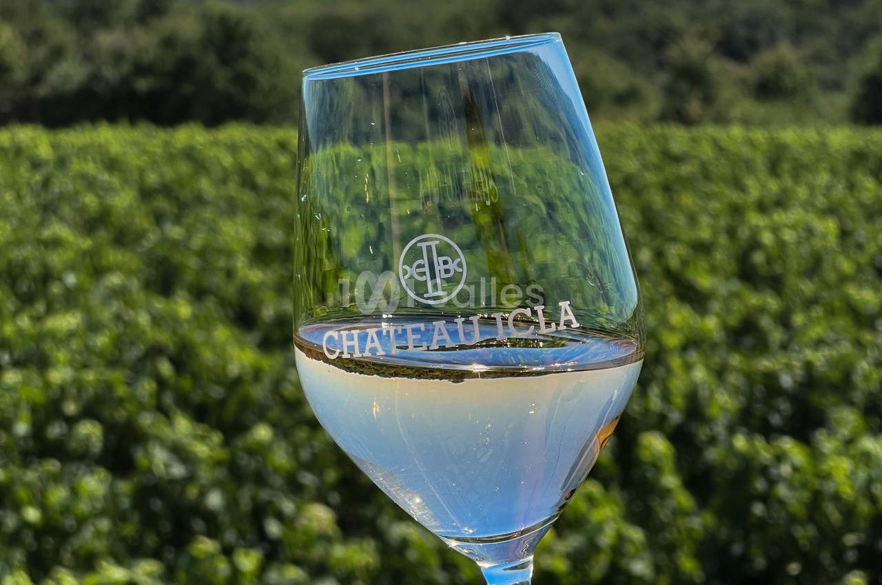 Verre de vin blanc marqué ’Château Lecla’, tenu devant un vignoble verdoyant sous un ciel clair.