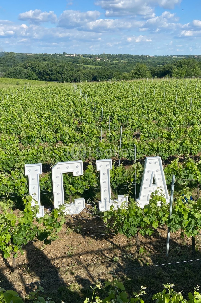 Vignes verdoyantes sous un ciel bleu avec des lettres blanches lumineuses formant ’ICLA’ au premier plan.