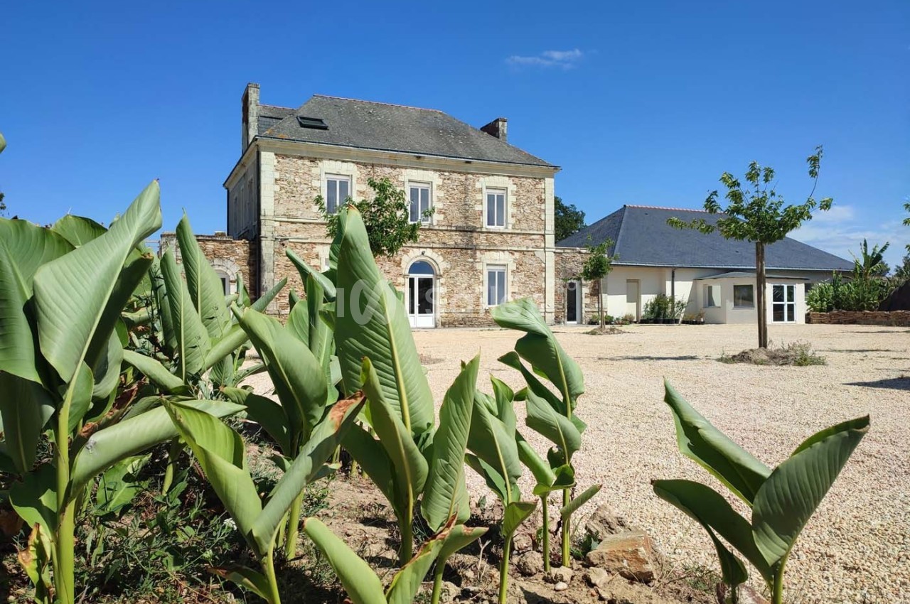 Maison en pierre entourée de jeunes bananiers, avec une cour en gravier et un ciel bleu dégagé.