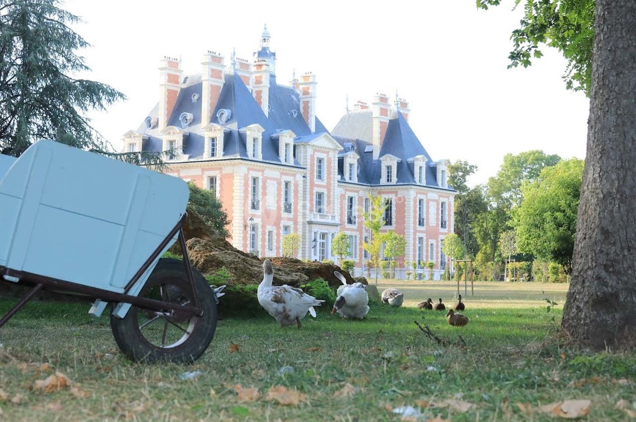 Le Château Nainville les Roches - galerie - photo 26
