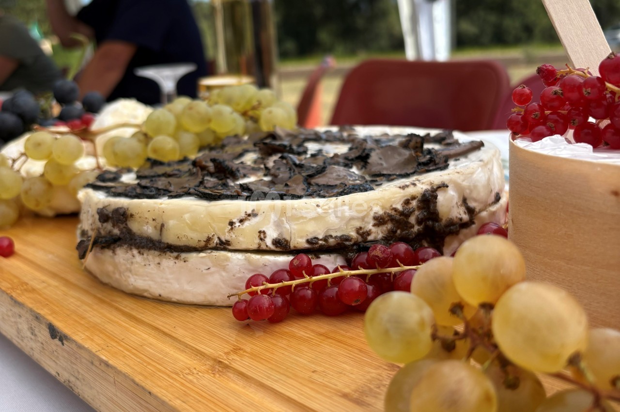 Plateau en bois avec un fromage garni de truffes, entouré de grappes de raisins et de groseilles rouges.