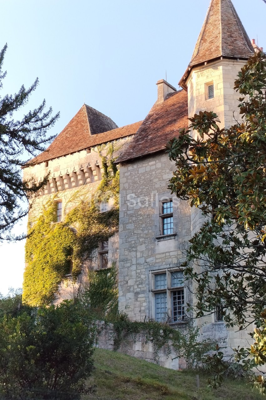 Château L'Evêque en Périgord - galerie - photo 15