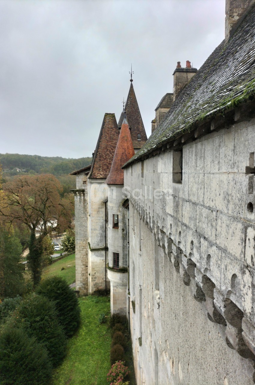 Château L'Evêque en Périgord - galerie - photo 20
