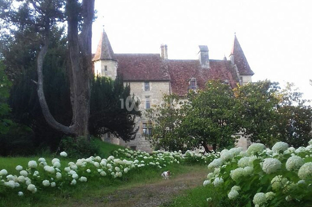 Château L'Evêque en Périgord - galerie - photo 36