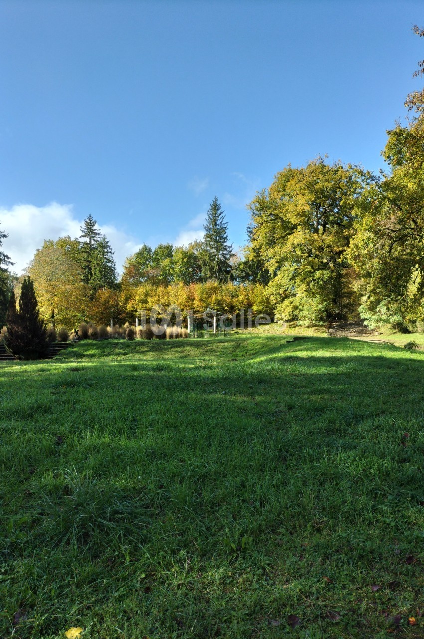 Le Parc