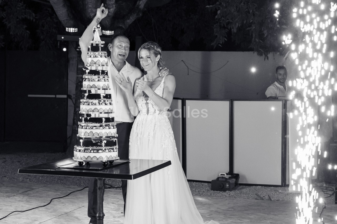 Un couple souriant coupe une pièce montée lors d'une célébration en extérieur, avec des étincelles en arrière-plan.